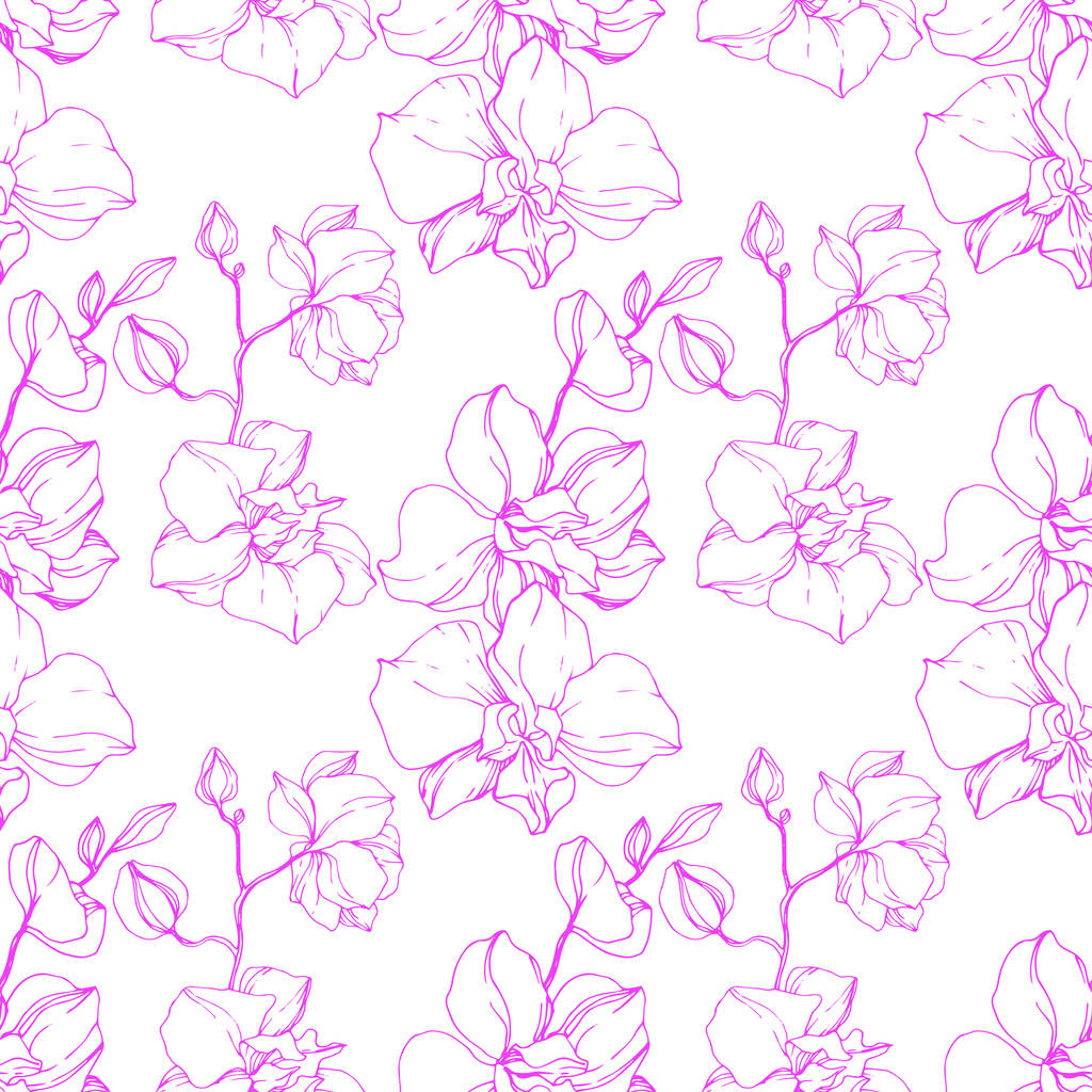 Beautiful pink orchid flowers. Seamless background pattern. Fabric wallpaper print texture. Engraved ink art. - Vector, Image