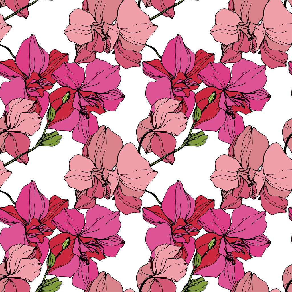 Hermosas flores de orquídea rosa sobre fondo blanco. Patrón de fondo sin costuras. Textura de impresión de papel tapiz de tela. Arte de tinta grabada
. - Vector, imagen