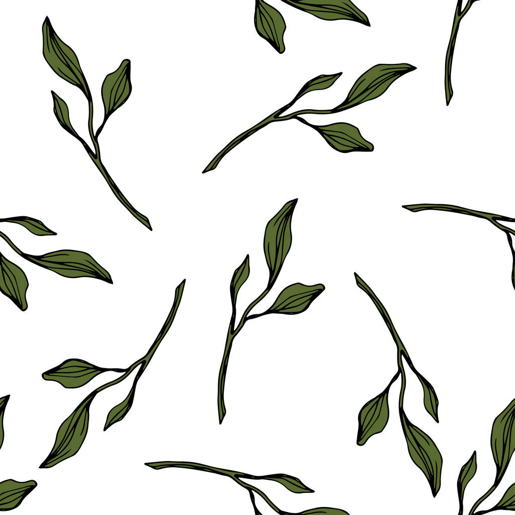 Vector. Folhagem floral jardim botânico folhas verdes. Arte de tinta gravada. Padrão sem costura no fundo branco. Tecido papel de parede impressão textura
. - Vetor, Imagem