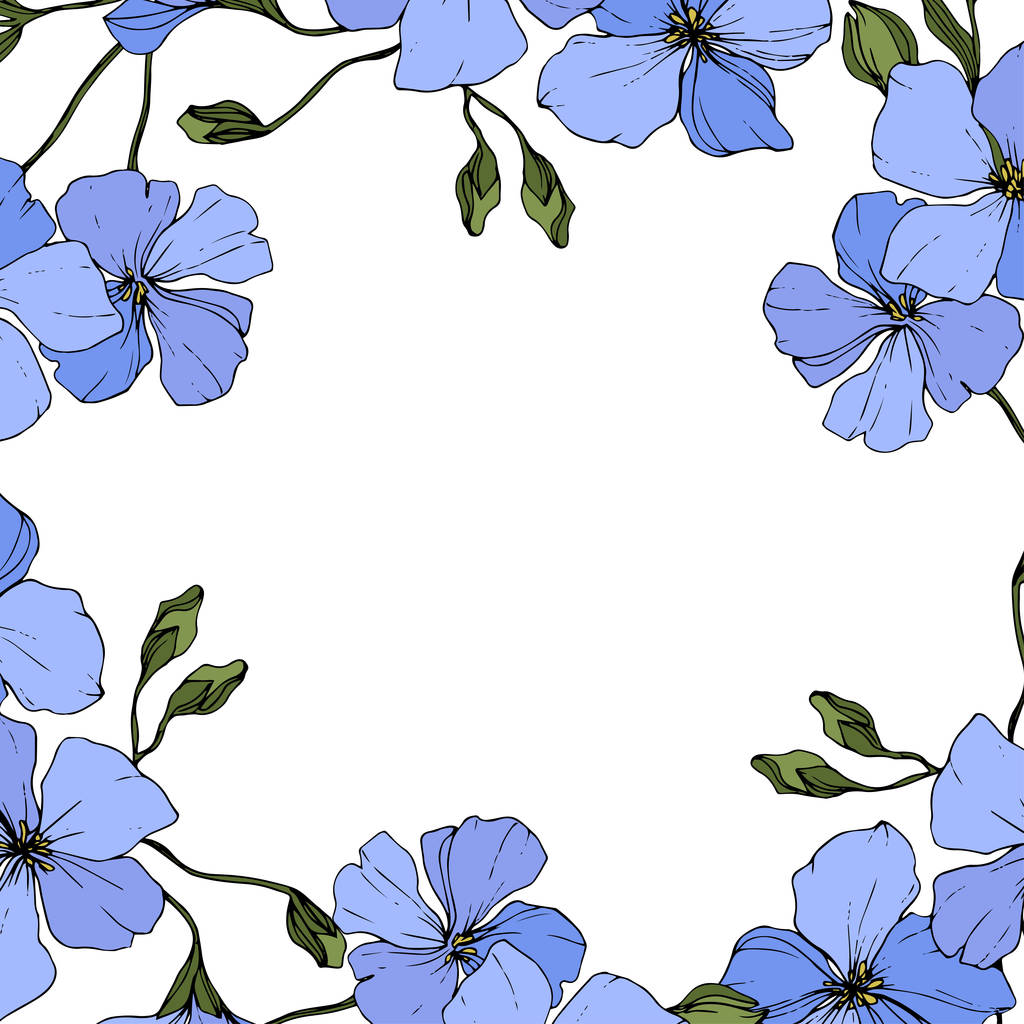 Vector. Flores de lino azul con hojas verdes y brotes aislados sobre fondo blanco. Arte de tinta grabada
.  - Vector, Imagen