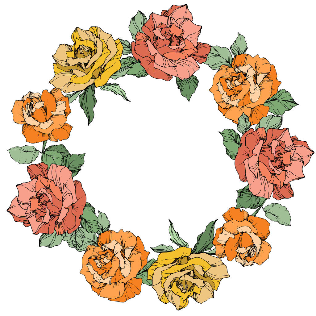 Διάνυσμα floral στεφάνι ροδαλά λουλούδια σε άσπρο φόντο. Τριαντάφυλλα κίτρινα, πορτοκαλί και κοραλλιογενείς χαραγμένο μελάνι τέχνης. - Διάνυσμα, εικόνα