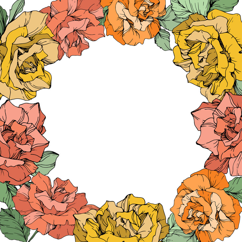 Vector rose flowers floral wreath on white background. Yellow, orange and coral roses engraved ink art. - Vector, Image