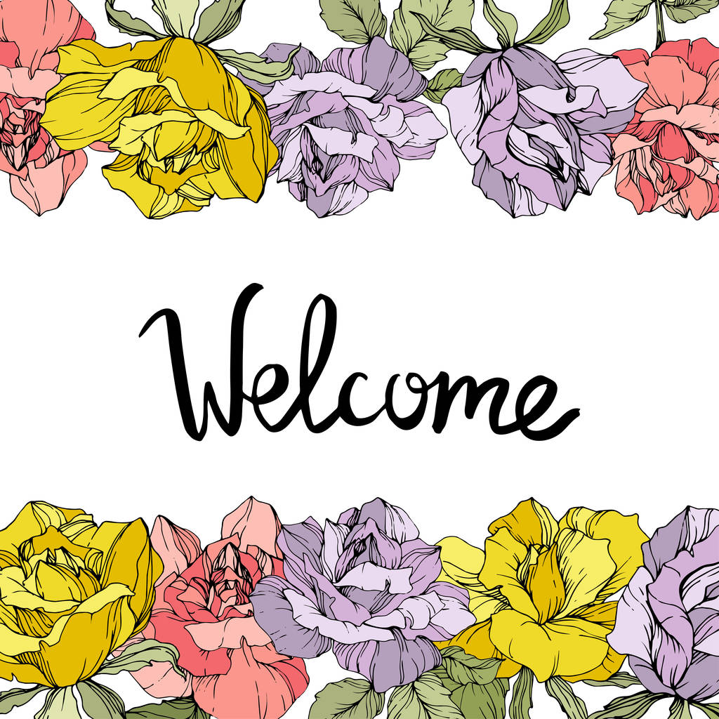 Vector rose flowers floral borders on white background. Yellow, purple and pink engraved ink art. Welcome inscription - Vector, Image