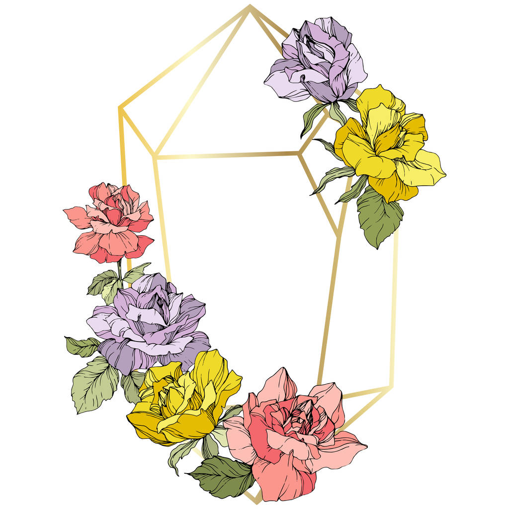 Διάνυσμα. Αυξήθηκε λουλούδια και χρυσή κρυστάλλινη κορνίζα. Ροζ, κίτρινο και μωβ τριαντάφυλλα χαραγμένο μελάνι τέχνης. Γεωμετρική κρυσταλλικό σχήμα πολύεδρο σε λευκό φόντο. - Διάνυσμα, εικόνα