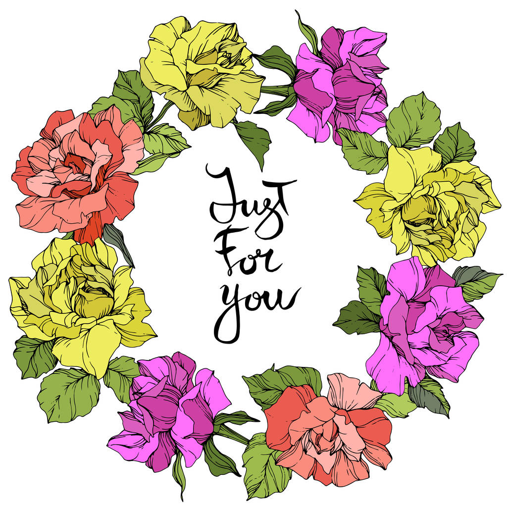Vector. Roses floral wreath. Purple, yellow and coral rose flowers engraved ink art. Just for you handwriting monogram calligraphy. - Vector, Image