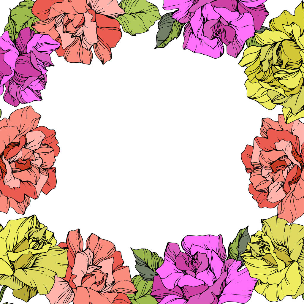 Vector. Roses floral wreath. Purple, yellow and coral rose flowers. Engraved ink art on white background. - Wektor, obraz