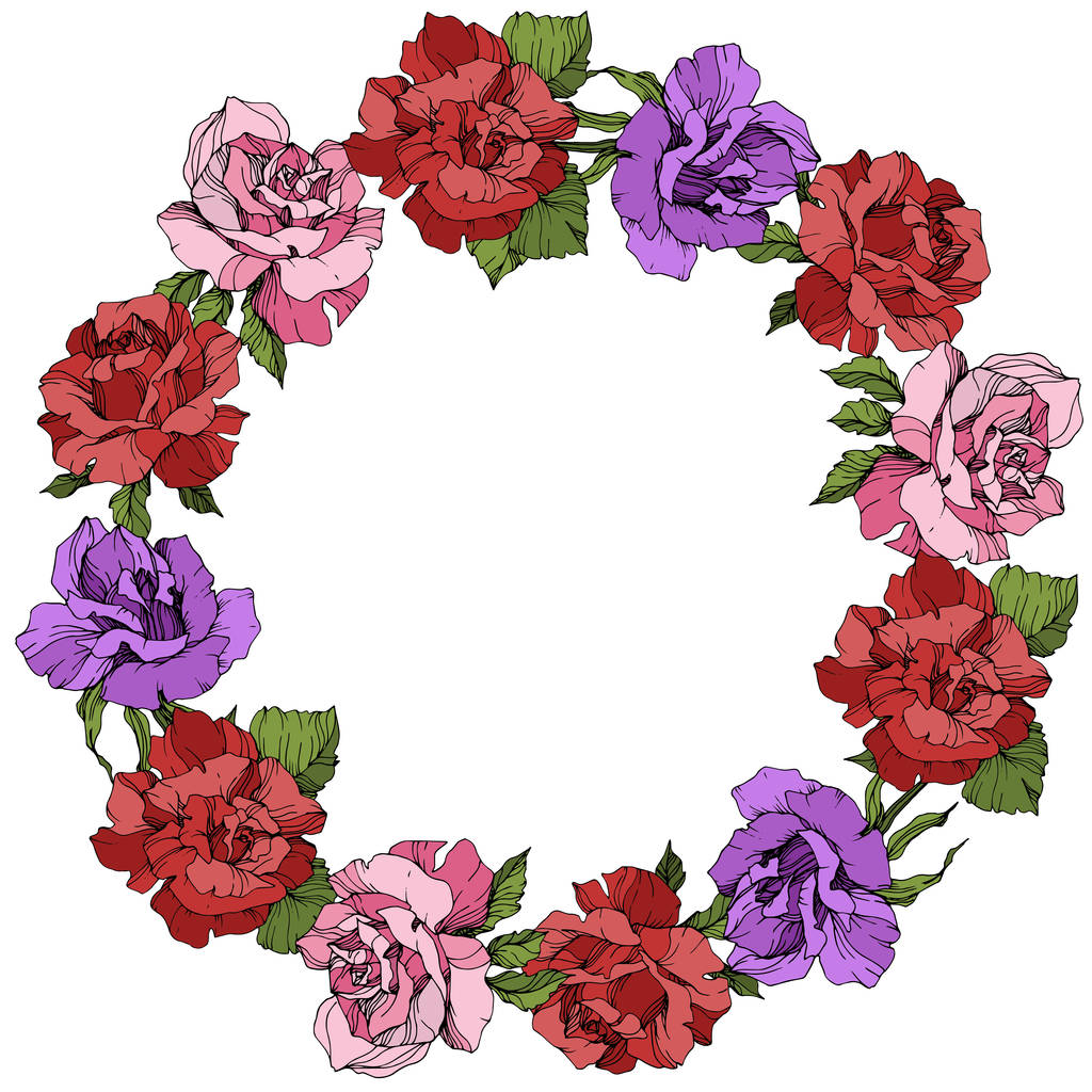 Vector. Rose flowers floral wreath on white background. Red, purple and pink roses engraved ink art. - Vector, Image