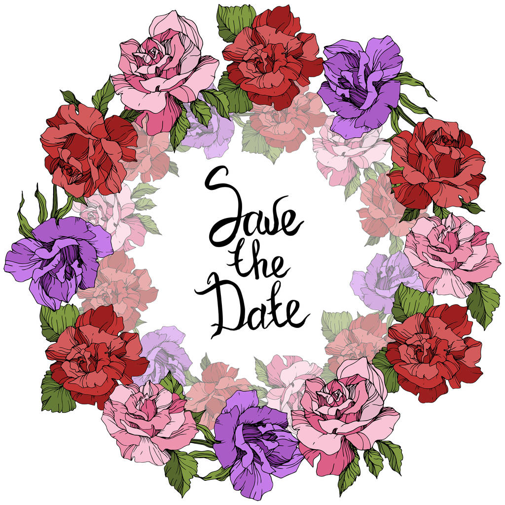 Corona floral Vector Roses. Rosa, rojo y púrpura flores de rosas arte de tinta grabada. Guardar la fecha caligrafía monograma caligrafía
. - Vector, Imagen