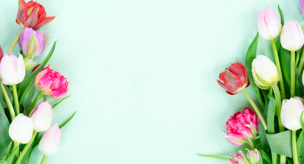 свежие цветы тюльпанов - Фото, изображение