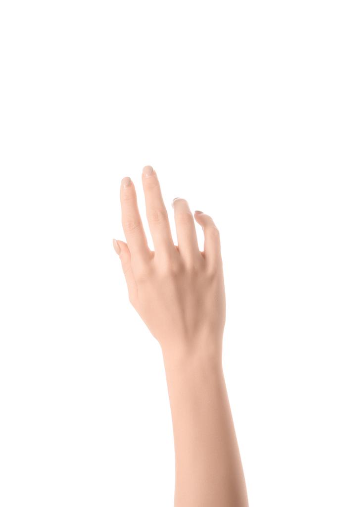vista ritagliata della mano della donna isolata su bianco
 - Foto, immagini