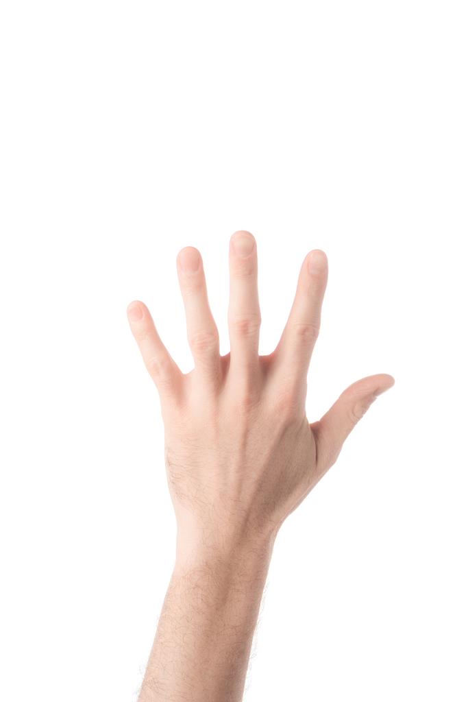 vista parcial del hombre mostrando el número 5 en lenguaje de signos aislado en blanco
 - Foto, imagen