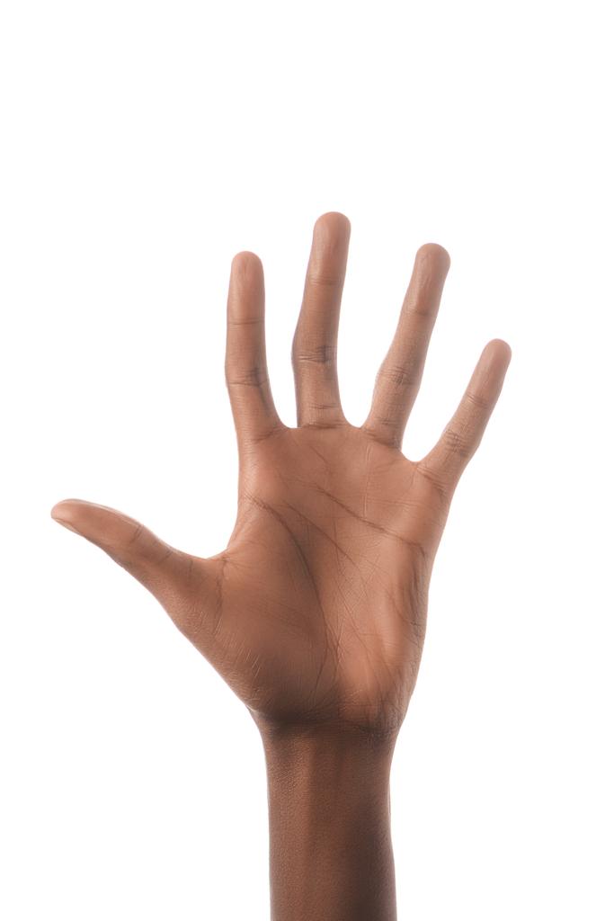częściowy widok african american mężczyzna na białym tle numer 5 w języku migowym - Zdjęcie, obraz