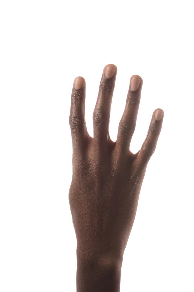 Μερική άποψη της αφρικανική αμερικανική άνθρωπος που δείχνει στον αριθμό 4 στην νοηματική γλώσσα απομονωθεί σε λευκό - Φωτογραφία, εικόνα