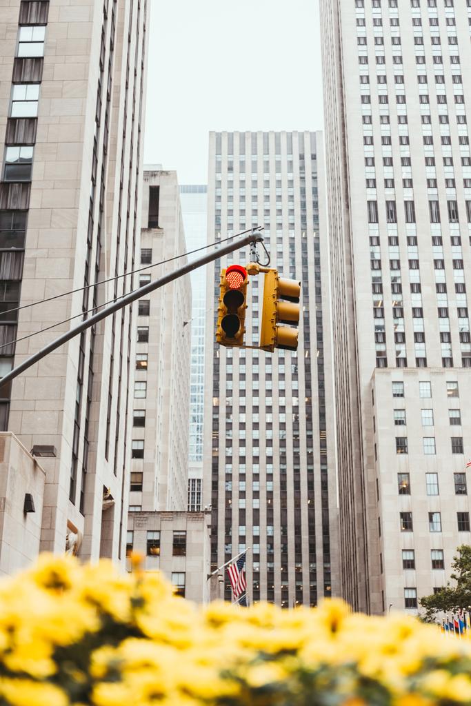 escenario urbano con semáforo y arquitectura de la ciudad de Nueva York, EE.UU.
 - Foto, Imagen