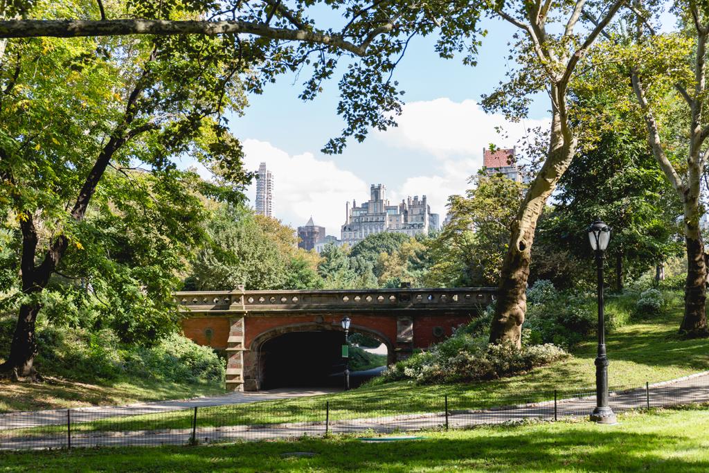 bâtiments et parc de la ville à New York, Etats-Unis
 - Photo, image