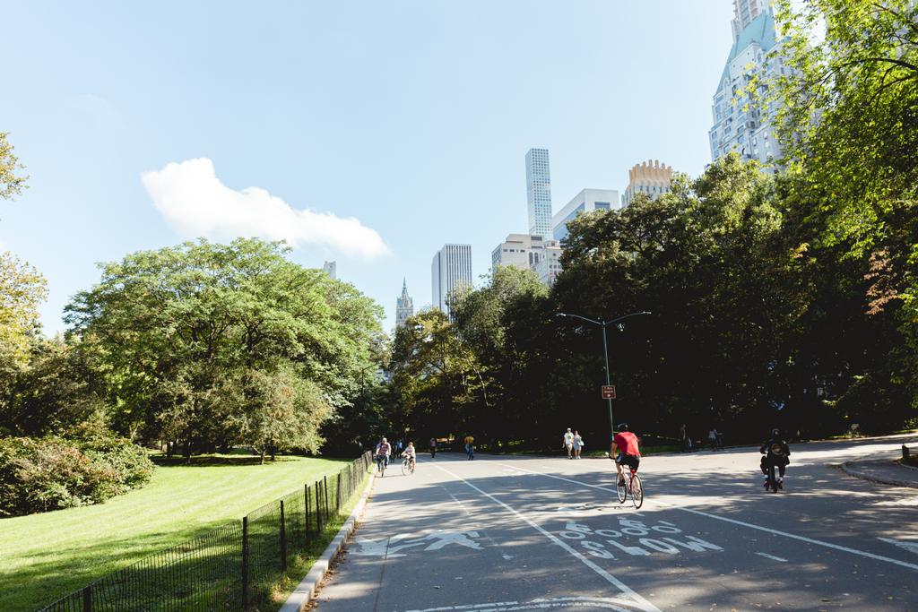 ニューヨーク、アメリカ合衆国 - 2018 年 10 月 8 日: 高層ビル、ニューヨーク、米国の公園の風光明媚なビュー - 写真・画像