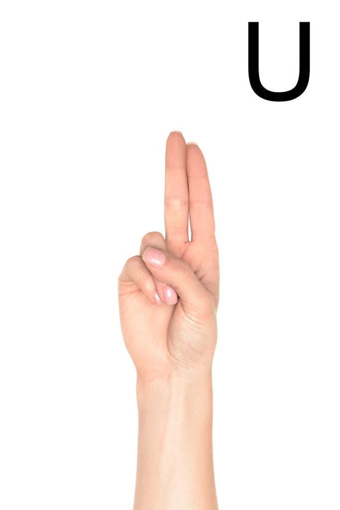 白で隔離ラテン文字 - U、聾唖言語を示す女性の手のトリミング ビュー - 写真・画像