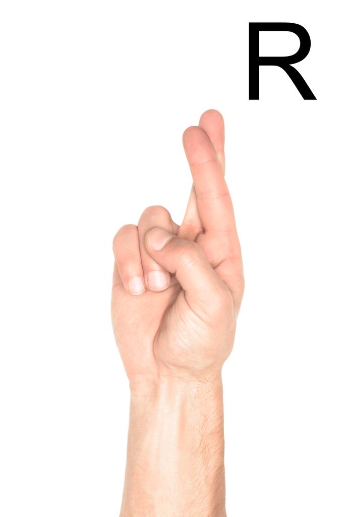 vista recortada de la mano masculina que muestra la letra latina - R, lenguaje sordo y mudo, aislado en blanco
 - Foto, imagen