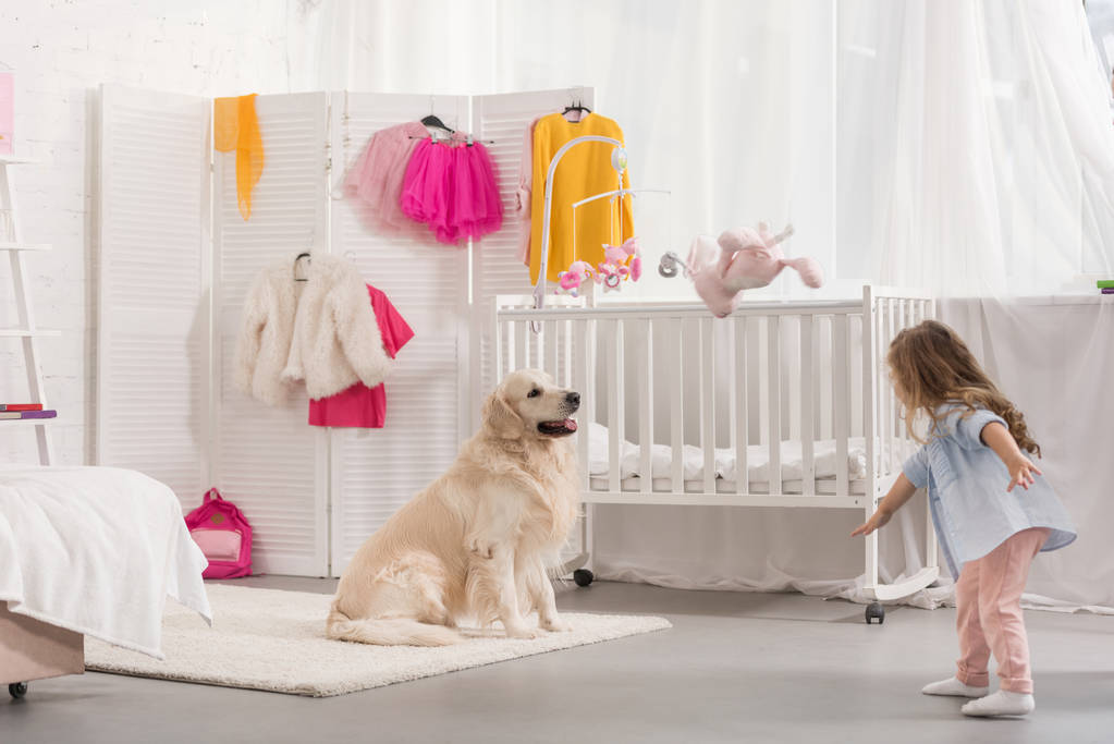 kid playing with golden retriever in children room - Photo, Image