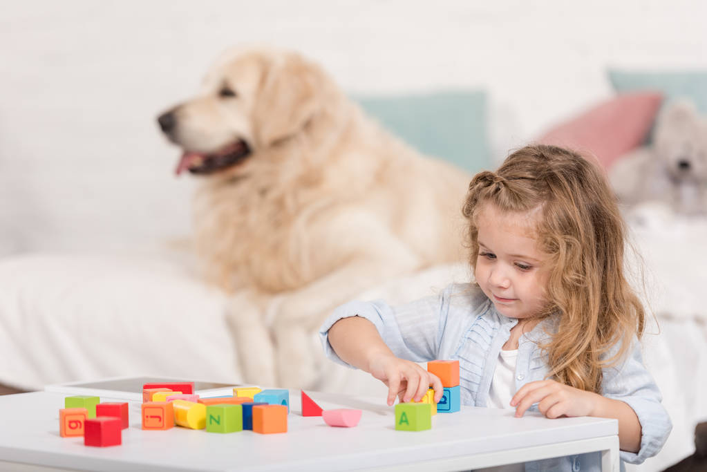 selective focus of adorable kid playing with educational cubes, golden retriever lying on bed in children room - Photo, Image