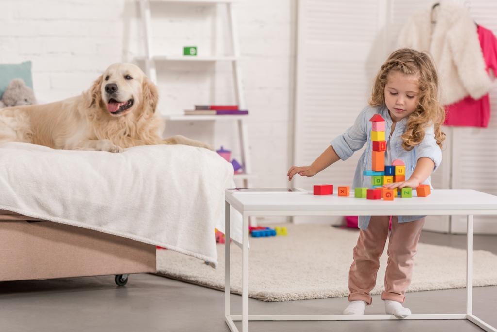 adorable kid playing with educational cubes, friendly golden retriever lying on bed in children room - Photo, Image