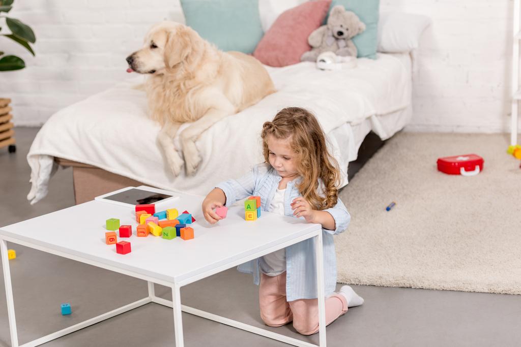 high angle view of adorable kid playing with educational cubes, golden retriever lying on bed in children room - Photo, Image