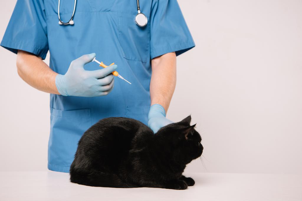 обрезанный вид ветеринара, держащего шприц и делающего процедуру микрочипирования черной кошки изолированной на серой
 - Фото, изображение