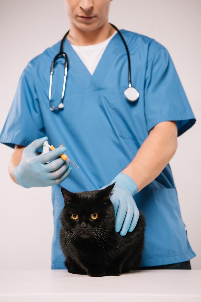 обрезанный вид ветеринара, стоящего со шприцем рядом с черной кошкой перед процедурой микрочипирования на сером фоне
 - Фото, изображение