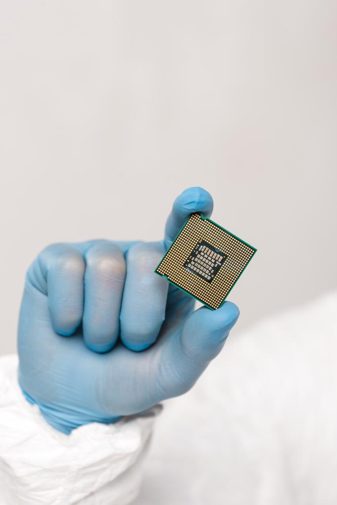 cropped view of microchip in hand of scientist isolated on grey  - Photo, Image