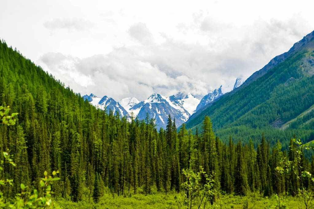 Altai der schönste Ort der Welt - Foto, Bild