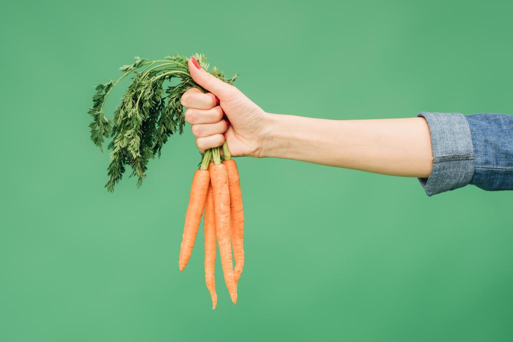 cropped view of woman holding bundle of carrots in hand isolated on green - Photo, Image