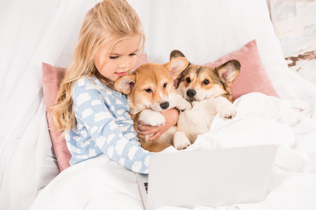 child lying in bed, hugging corgi dogs and using laptop at home - Photo, Image