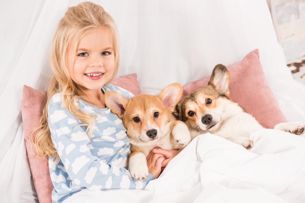 uśmiechnięte dziecko leżąc w łóżku z psów welsh corgi pembroke i patrząc na kamery  - Zdjęcie, obraz