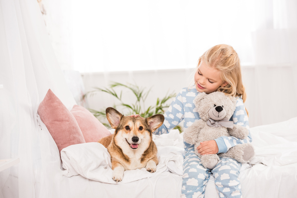 милый ребенок сидит на кровати с пемброком валлийской корги собака и плюшевый мишка дома
 - Фото, изображение