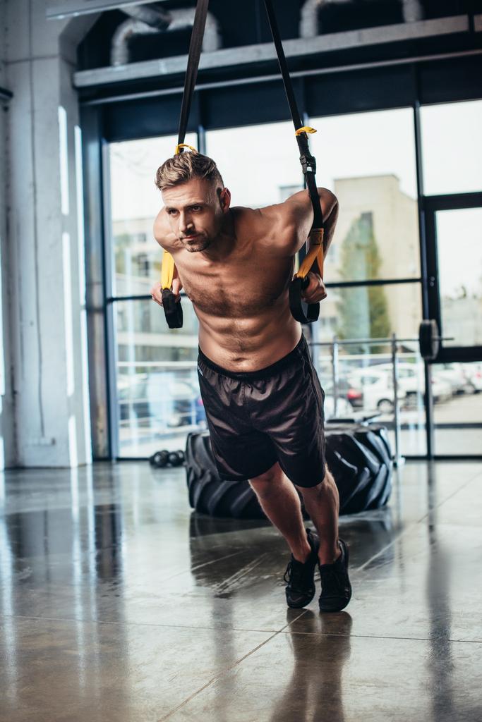 handsome shirtless sweaty sportsman training with suspension straps in gym  - Photo, Image