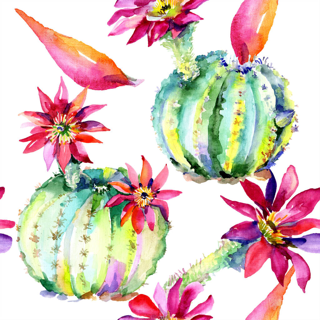 Cactus verdes con flores rosas. Patrón de fondo sin costura de acuarela
.  - Foto, Imagen