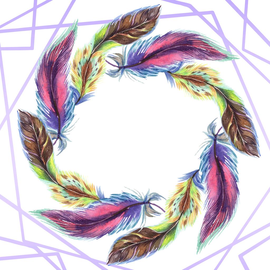Des plumes colorées. Plume d'oiseau aquarelle de l'aile isolée. Plume Aquarelle pour fond, texture, motif enveloppant, cadre ou bordure. Bordure du cadre
   - Photo, image