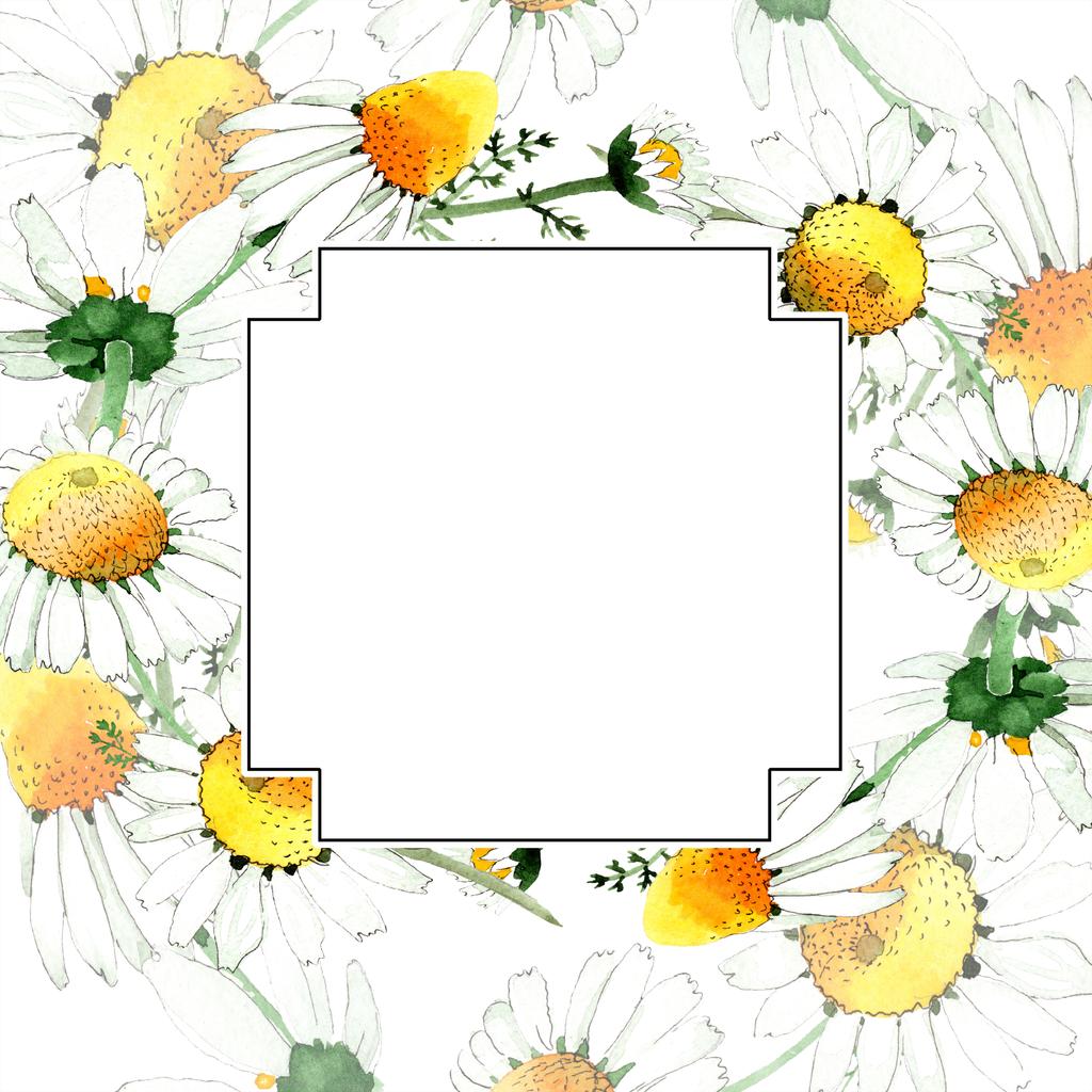 Wild spring Chamomile flowers. Watercolor background illustration set. Watercolour drawing fashion aquarelle isolated. Frame border - Photo, Image