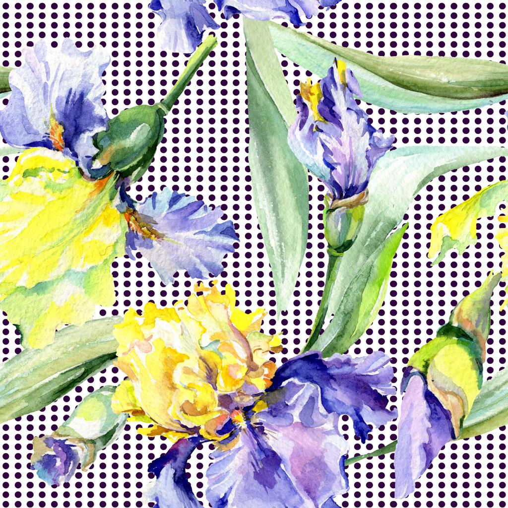 Violet iris jaune fond. Fleurs botaniques dessinées à la main. Ensemble d'illustration de fond aquarelle. Aquarelle dessin mode aquarelle
. - Photo, image