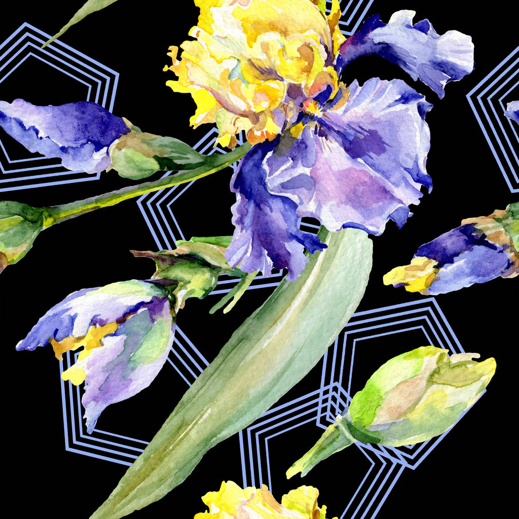 Fondo de iris amarillo púrpura. Flores botánicas hechas a mano. Conjunto de ilustración de fondo acuarela. Acuarela dibujo moda aquarelle
. - Foto, imagen