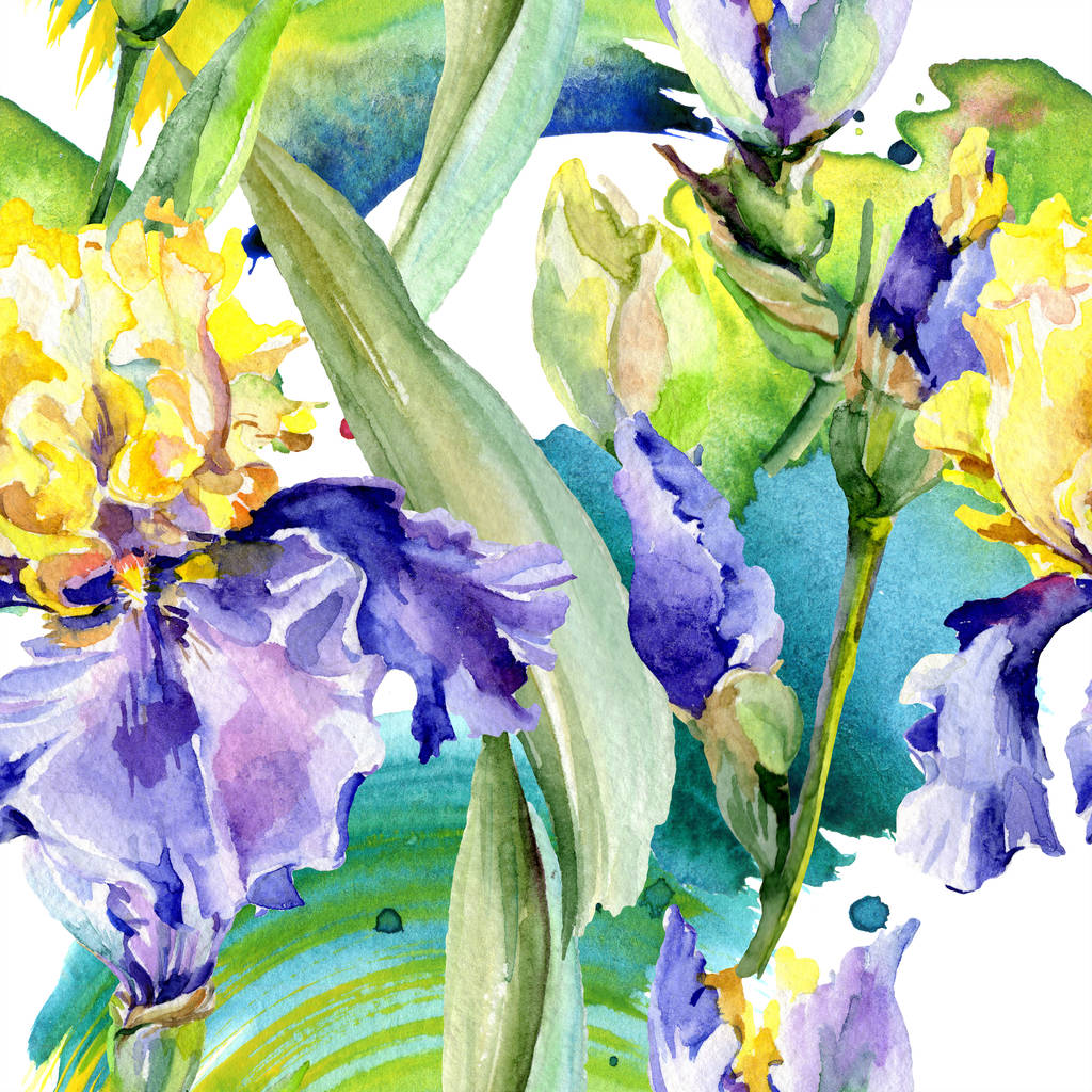 Fondo de iris amarillo púrpura. Flores botánicas hechas a mano. Conjunto de ilustración de fondo acuarela. Acuarela dibujo moda aquarelle
. - Foto, Imagen