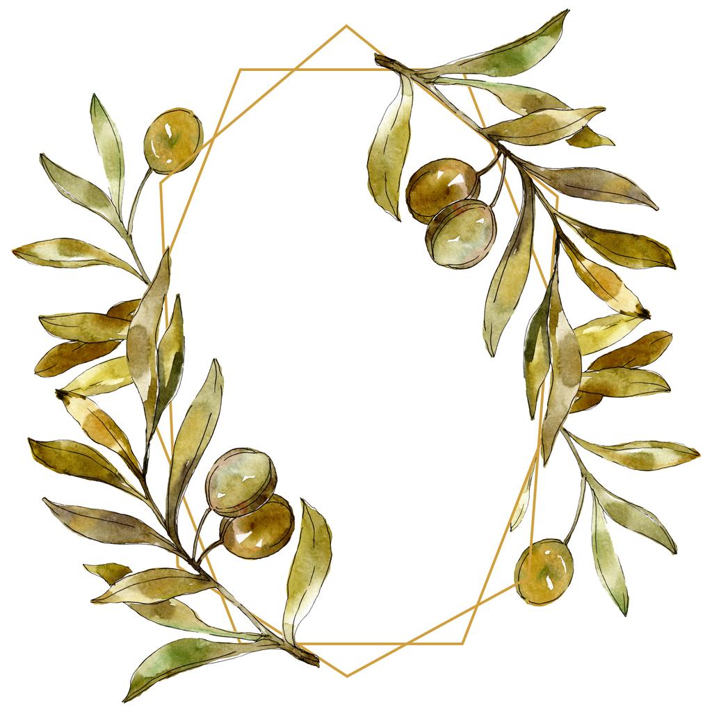 Зелені оливки акварельний фон набір ілюстрацій. Акварельний малюнок моди акварель ізольовано. Межа рамки
  - Фото, зображення