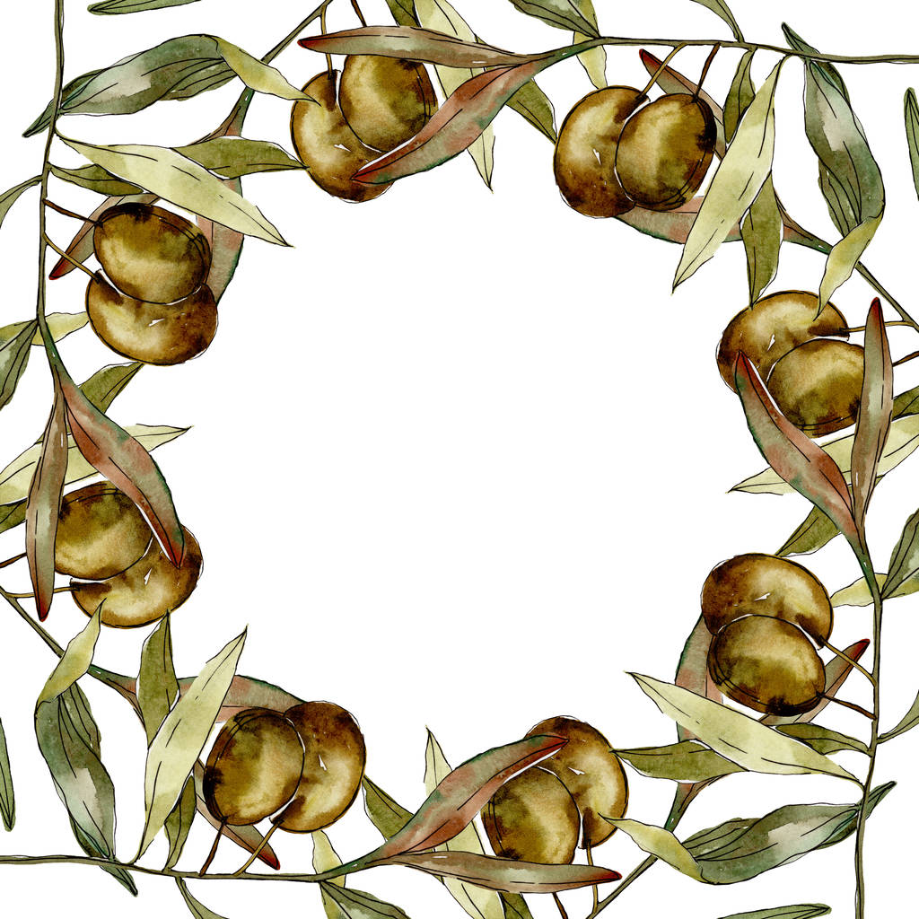 Marco con aceitunas verdes y hojas de acuarela conjunto de ilustración de fondo. Acuarela dibujo moda aquarelle aislado
.  - Foto, Imagen
