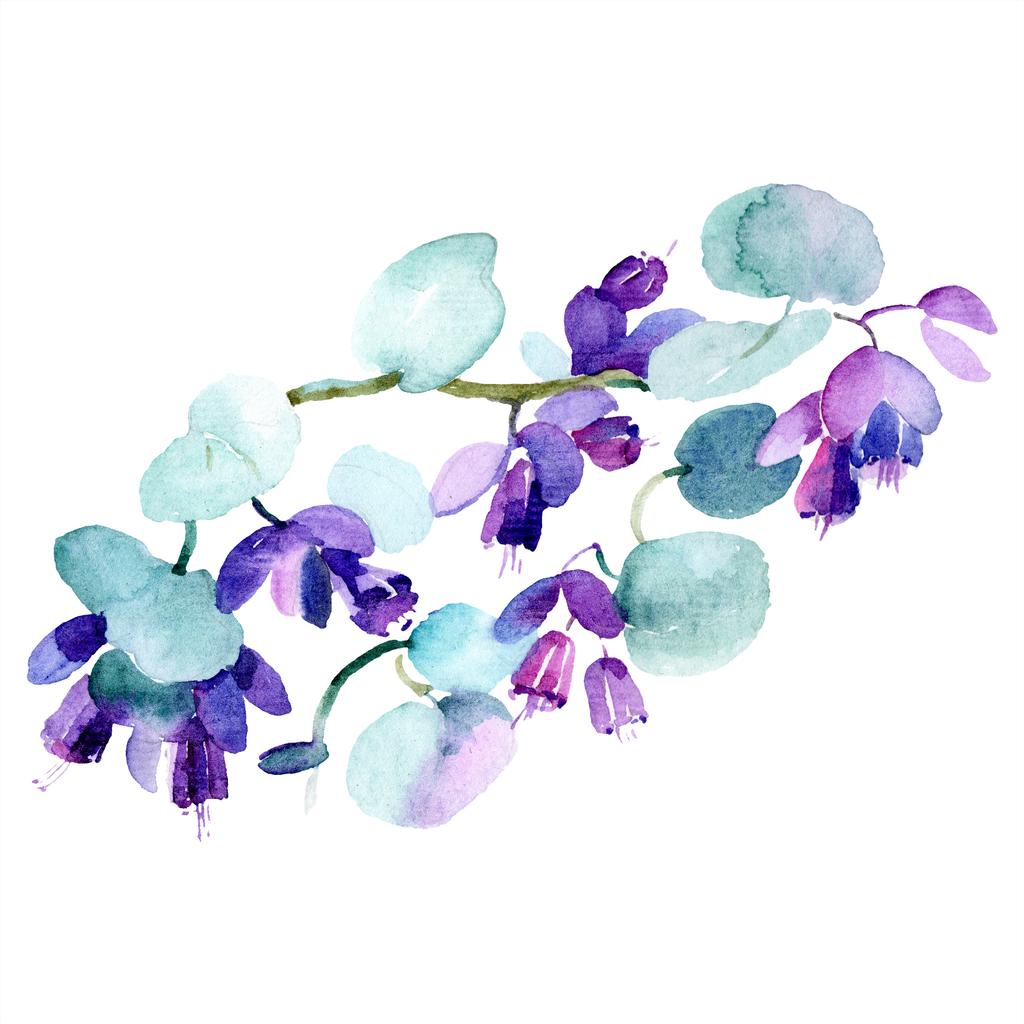 Bouquet of purple flowers. Watercolor background illustration set. Watercolour drawing fashion aquarelle isolated. Isolated bouquet illustration element. - Photo, Image
