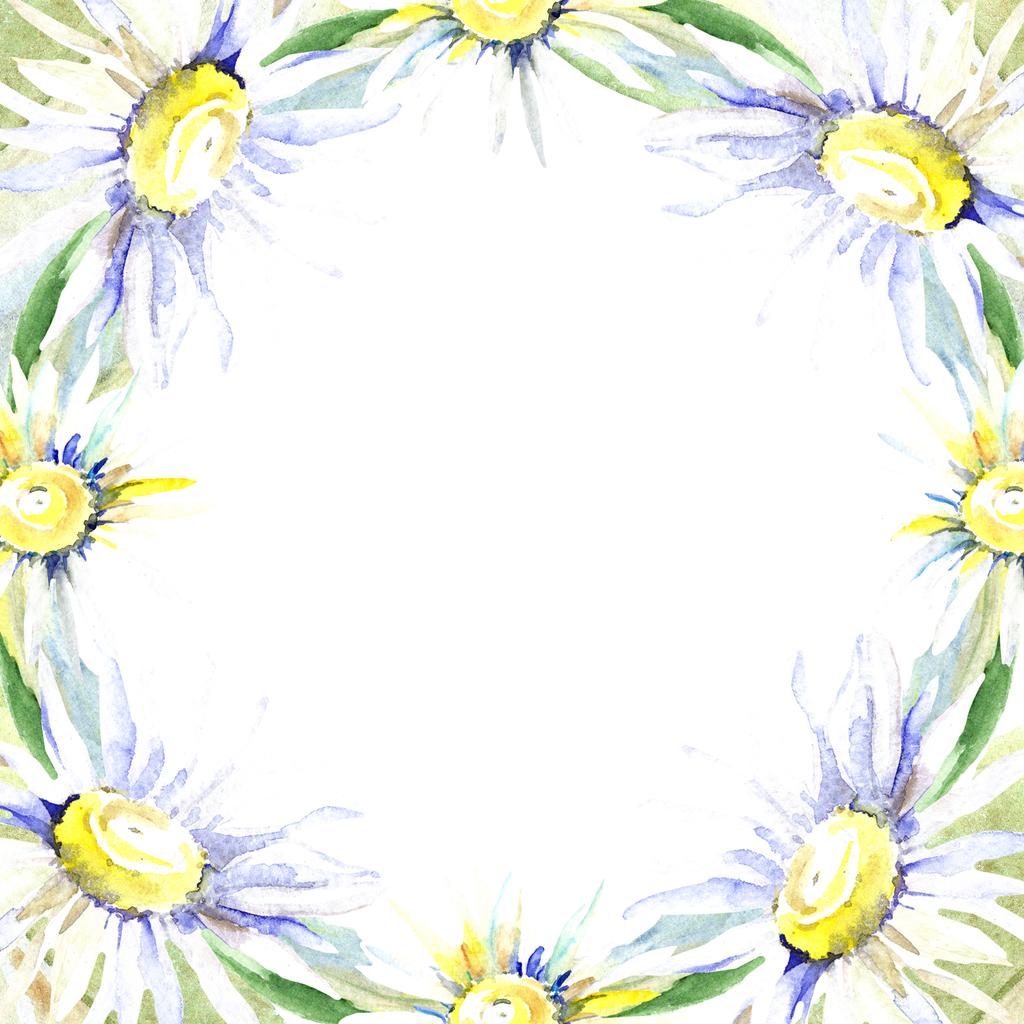 デイジーの花のフレーム 水彩画背景イラスト セット 分離された水彩描画ファッション アクワレル ロイヤリティフリー写真 画像素材