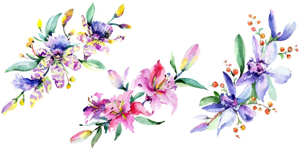 Orquídeas rosadas y moradas. Conjunto de ilustración de fondo acuarela. Acuarela ramo de flores elemento de ilustración
. - Foto, imagen