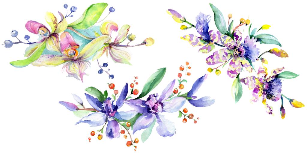 ピンクと紫の蘭 水彩画背景イラスト セット 水彩花花束イラスト要素 ロイヤリティフリー写真 画像素材
