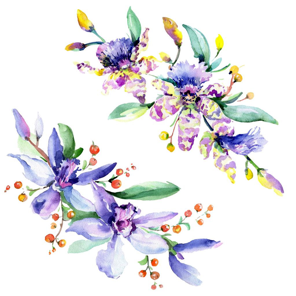 ピンクと紫の蘭 水彩画背景イラスト セット 水彩花花束イラスト要素 ロイヤリティフリー写真 画像素材
