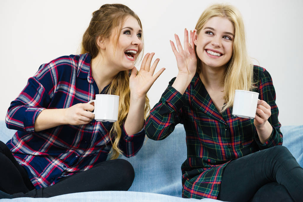 Twee vrouwelijke vrienden zitten samen op de bank kletsen praten roddelen en het drinken van thee of koffie hebben plezier besteden geweldige tijd. - Foto, afbeelding