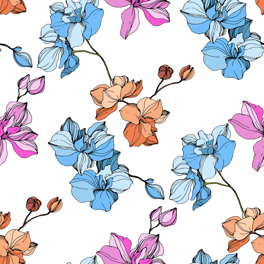 Vektor rózsaszín, kék és narancs orchideák. Vadvirágok elszigetelt fehér. Vésett tinta art. Varratmentes háttérben minta. Nyomtatási textúra tapéta. - Vektor, kép